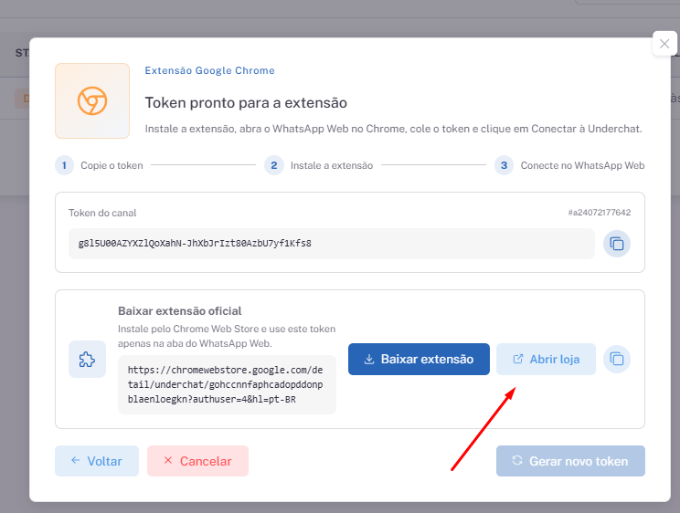 Copiar token e abrir loja