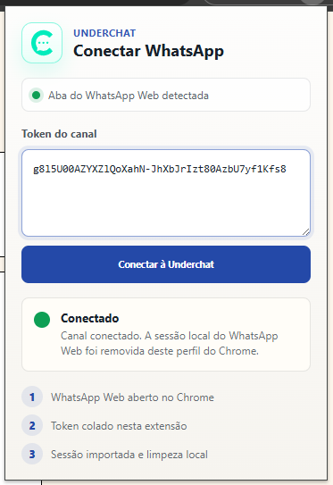 Colar token na extensão